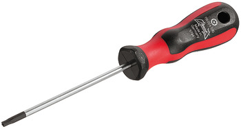 Screw driver T-star 10x175mm