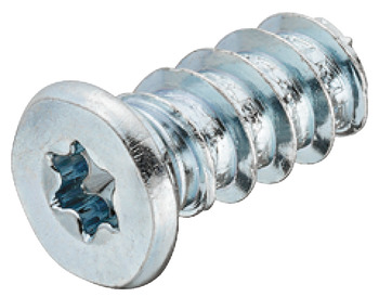 Varianta screw TS gal.5/10,5mm 10.5 mm